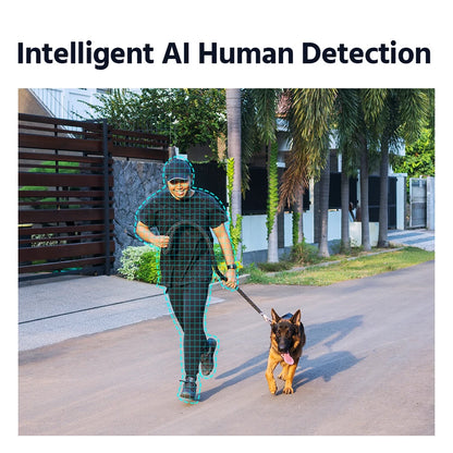 WiFi Video Surveillance System